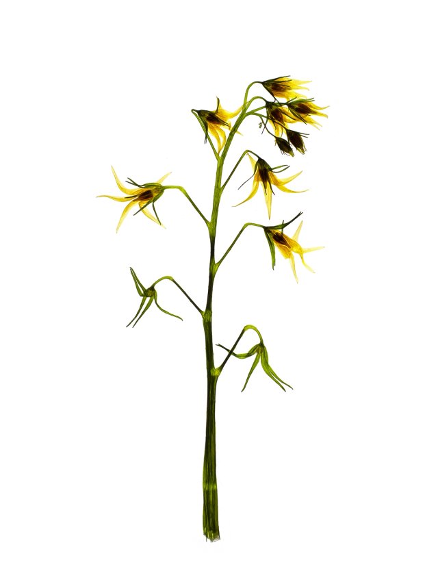 Stuttgart, Germany, 07/2022