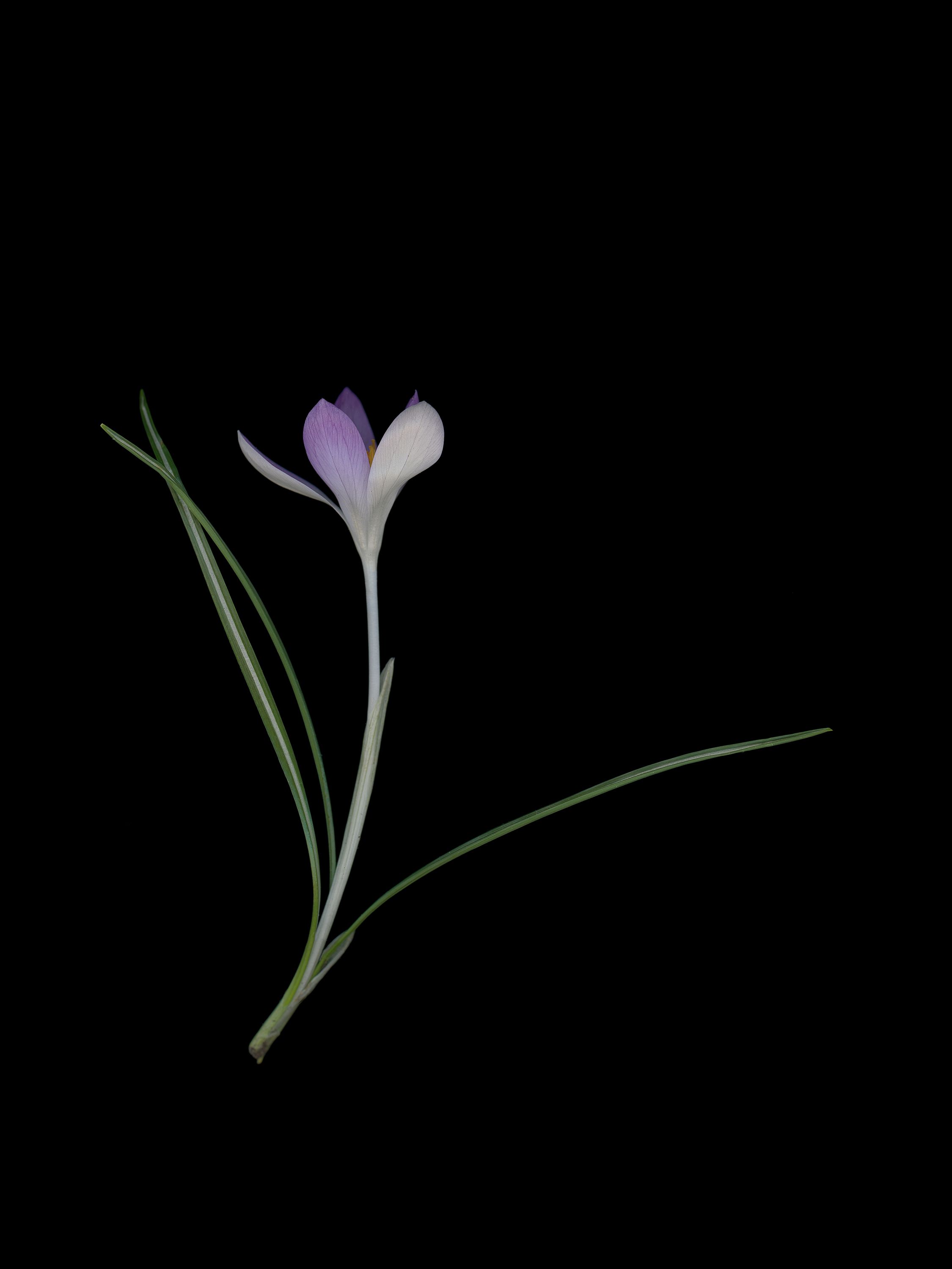 München, Germany, 03/2026