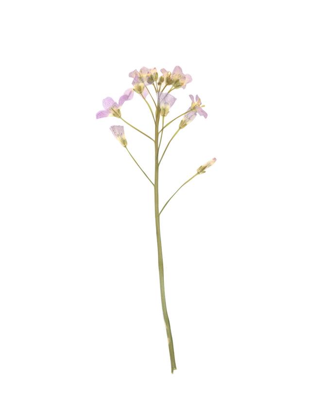 Rübgarten, Germany, 05/2020