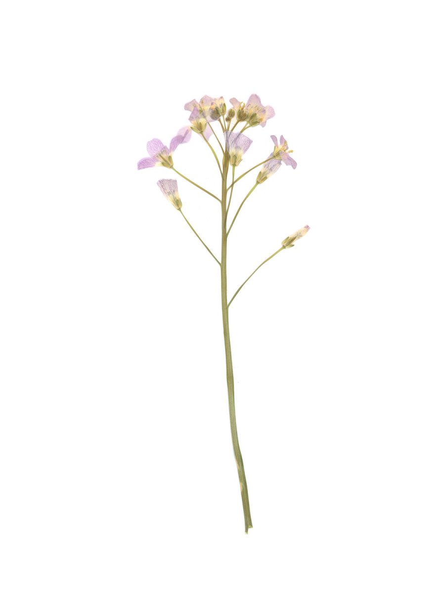 Pliezhausen, Germany, 05/2020