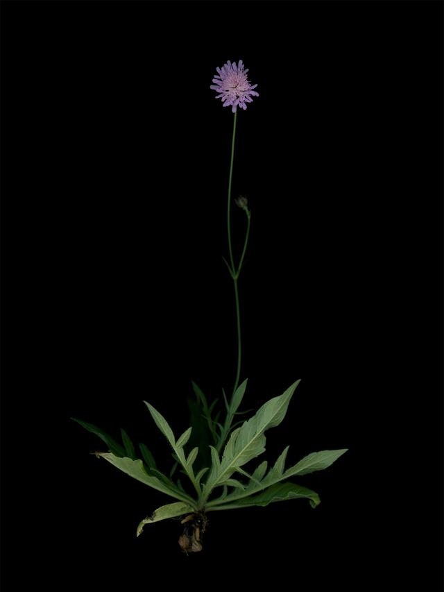 Munich, Germany, 09/25