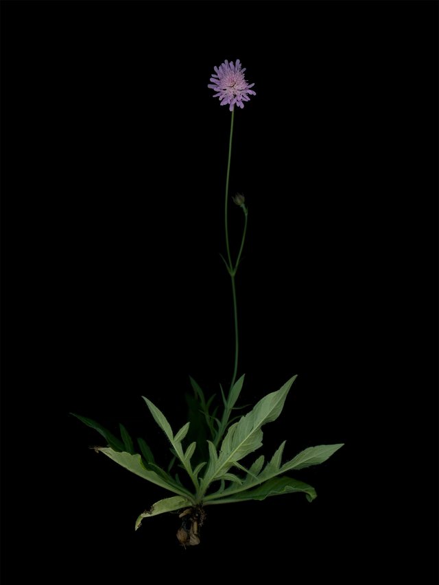 Munich, Germany, 09/2025