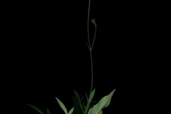 Munich, Germany, 09/2025