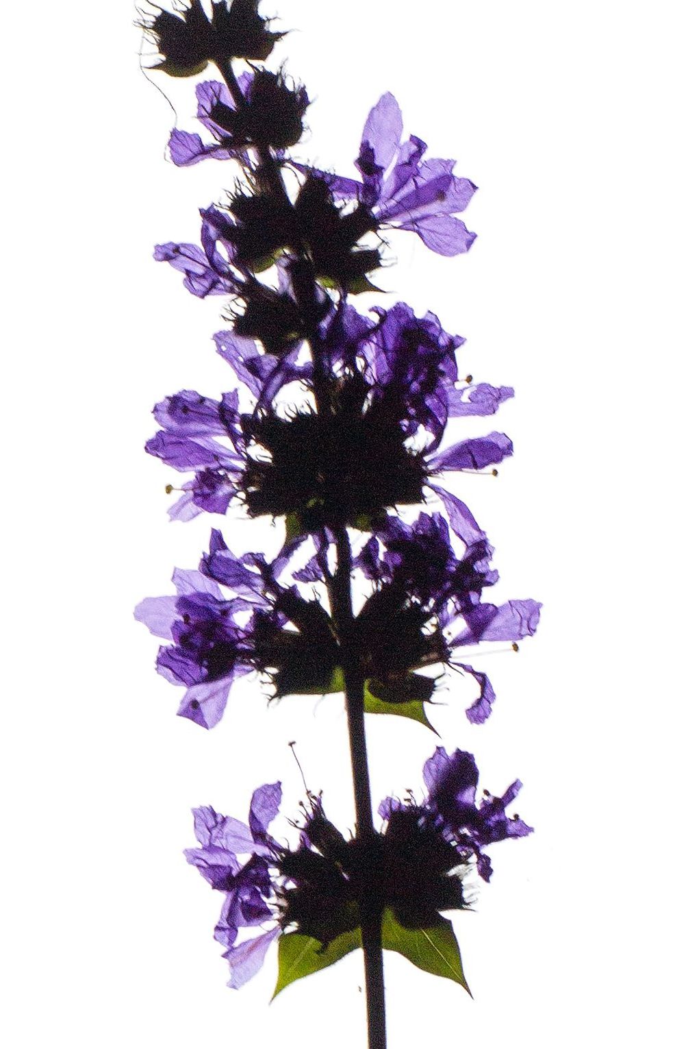 Thalkirchen, Germany, 03/2023