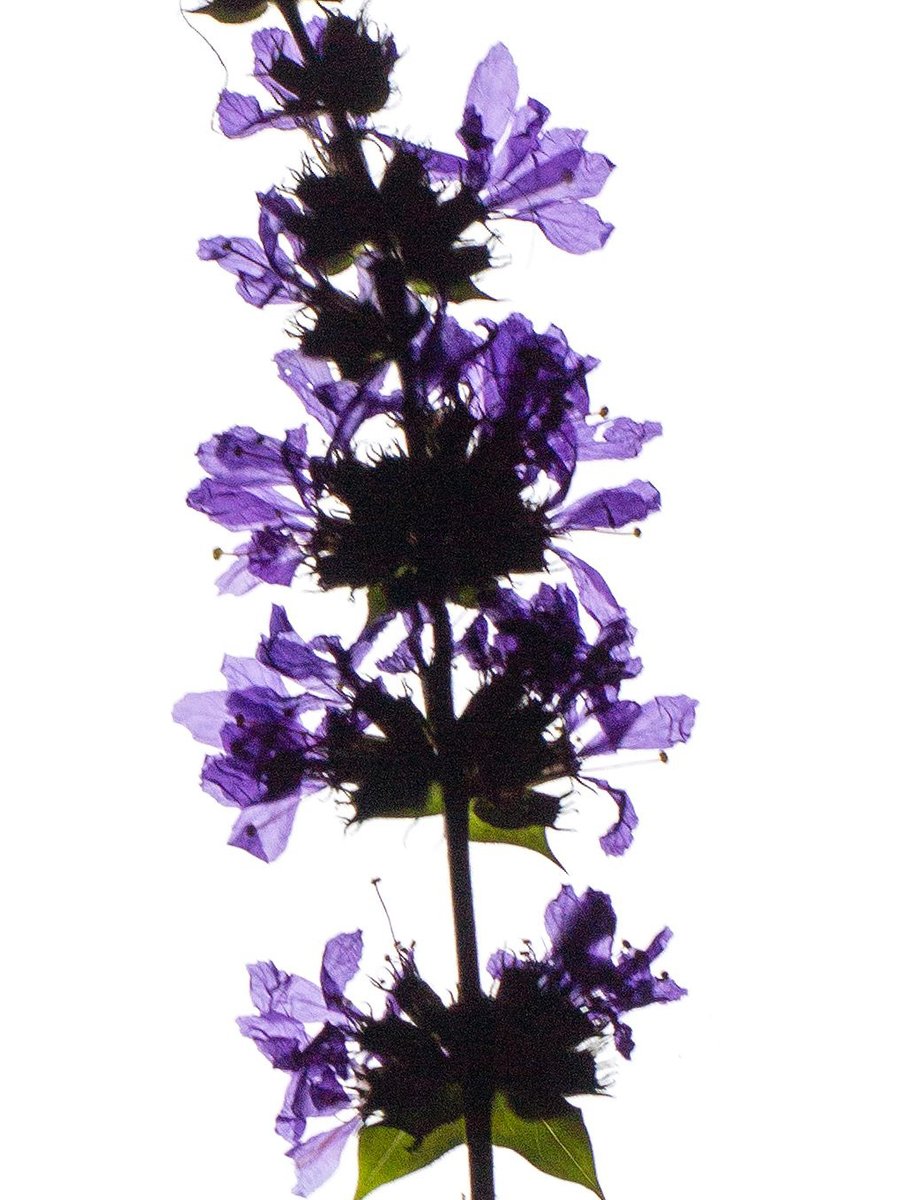 Thalkirchen, Germany, 03/2023