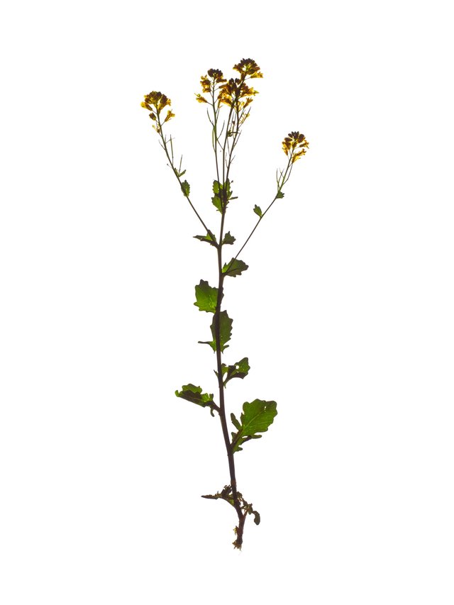 Thalkirchen, Germany, 05/2024