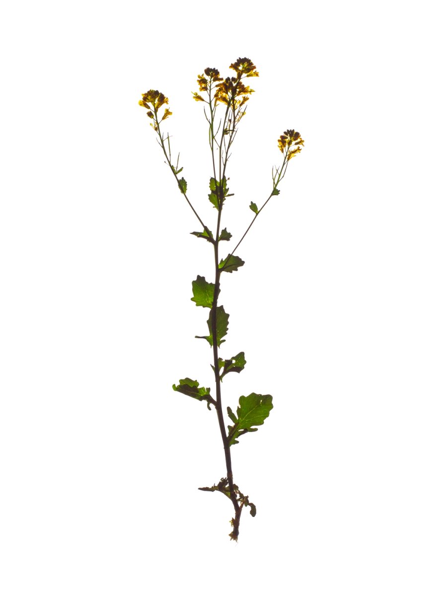 Thalkirchen, Germany, 05/2024