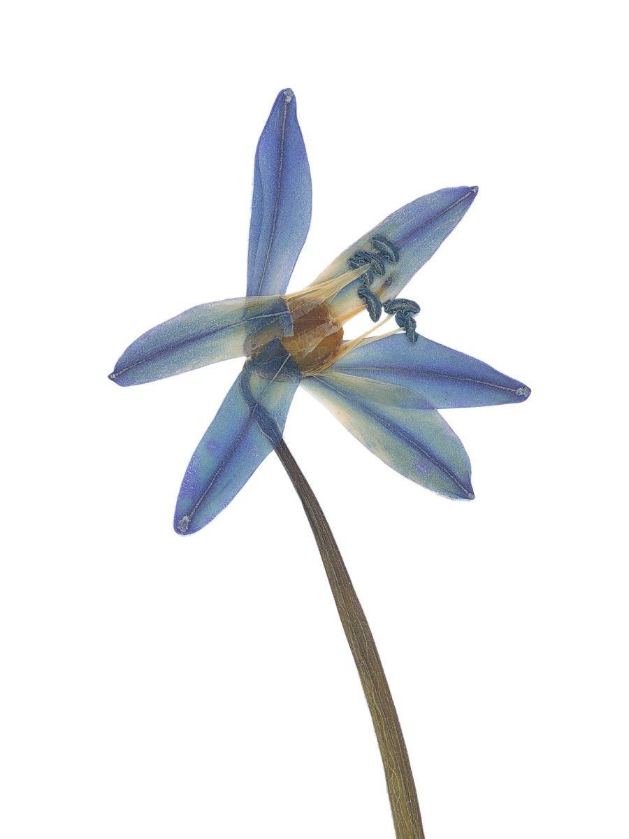 Pliezhausen, Germany, 03/2020