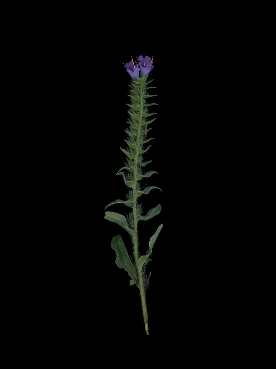 Thalkirchen, Germany, 09/2025