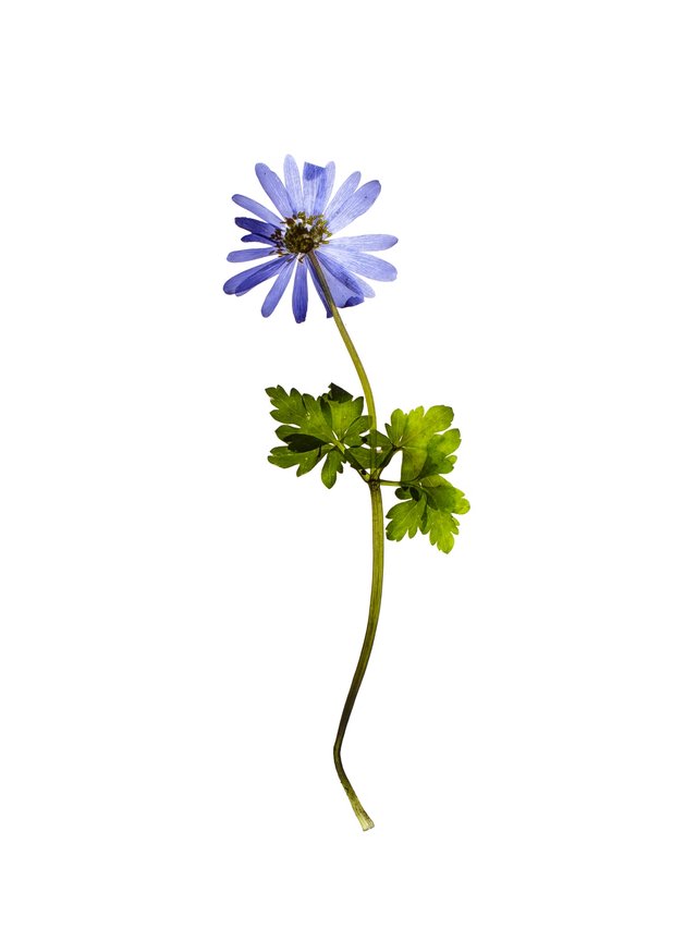 Stuttgart, Germany, 04/2021