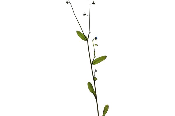 Stuttgart, Germany, 06/2021