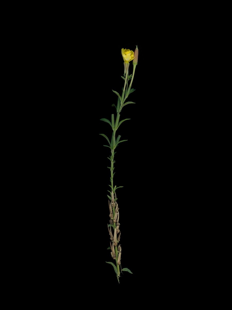 Munich, Germany, 10/2025