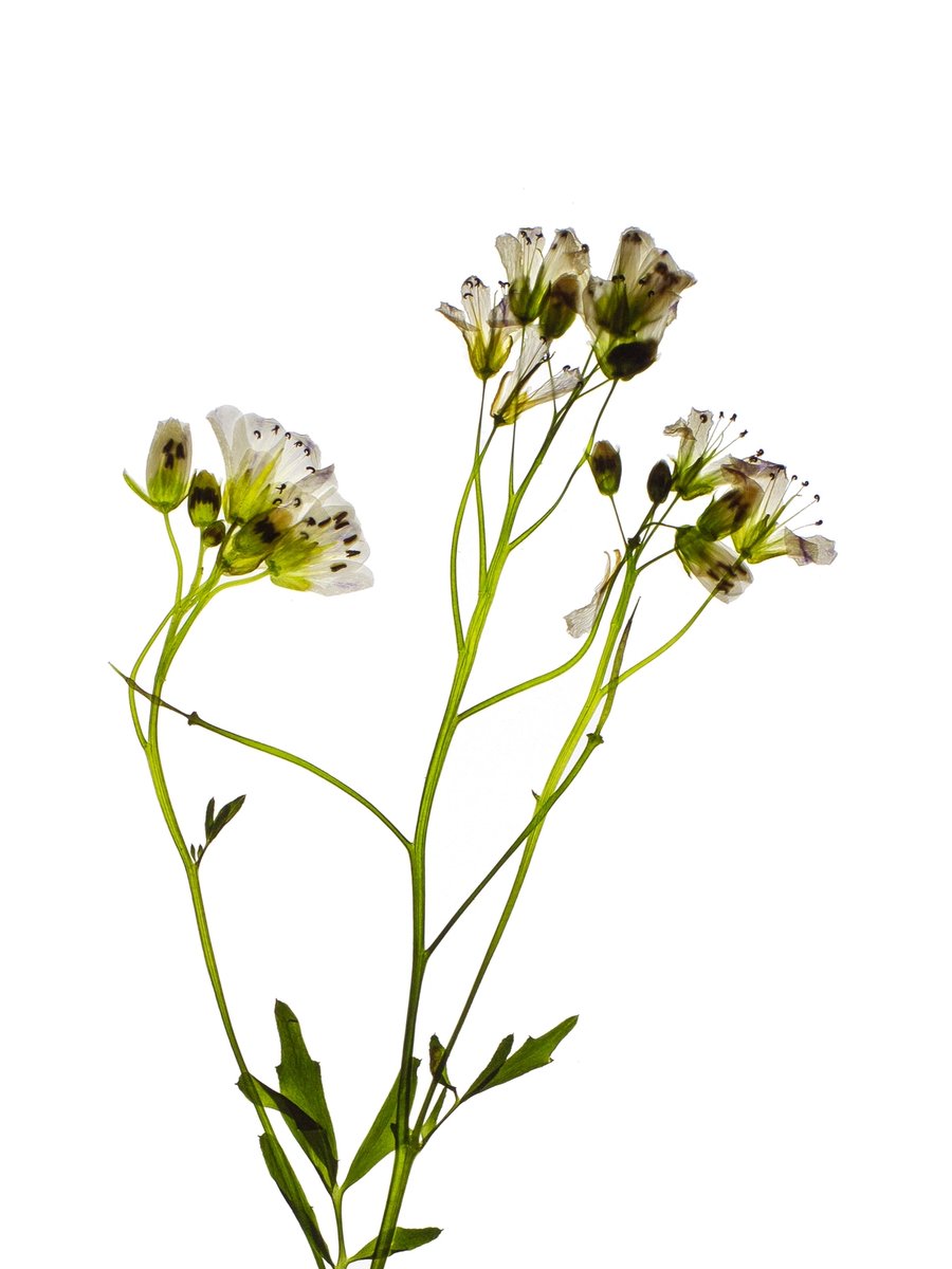 Detail, Thalkirchen, Germany, 05/2024