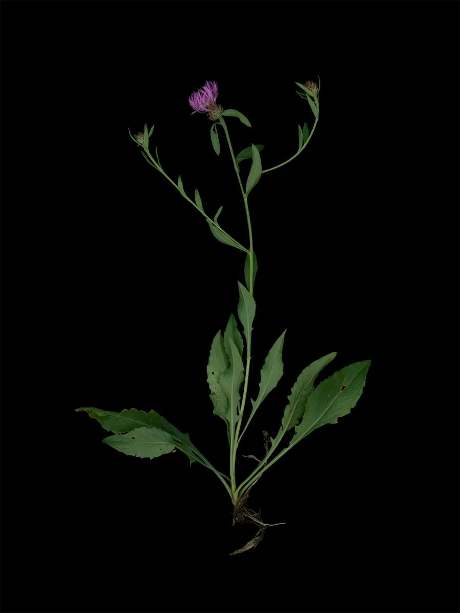 Thalkirchen, Germany, 09/2025