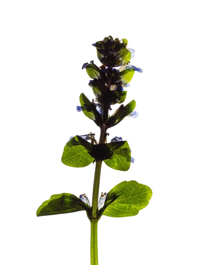 Thalkirchen, Germany, 04/2024