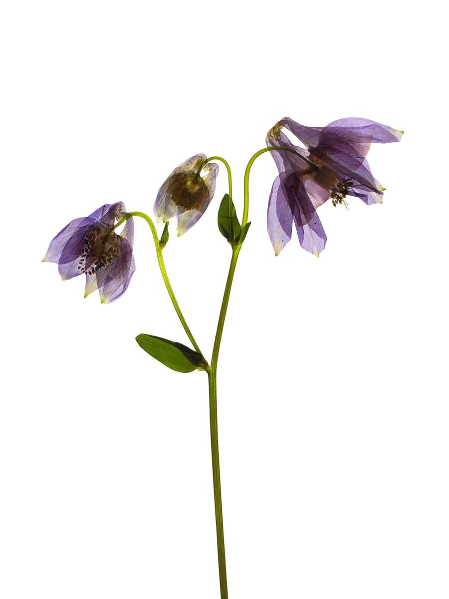 Stammheim, Germany, 05/2022