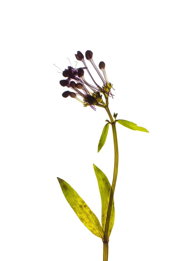 Piran, Slovenia, 09/2022