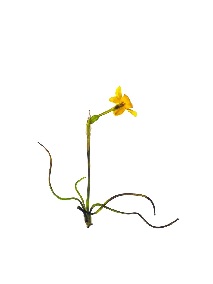 Alozaina, Spain, 05/2022