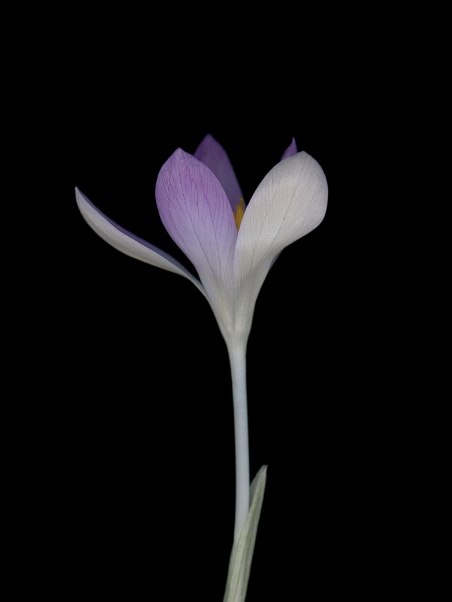 München, Germany, 03/2026