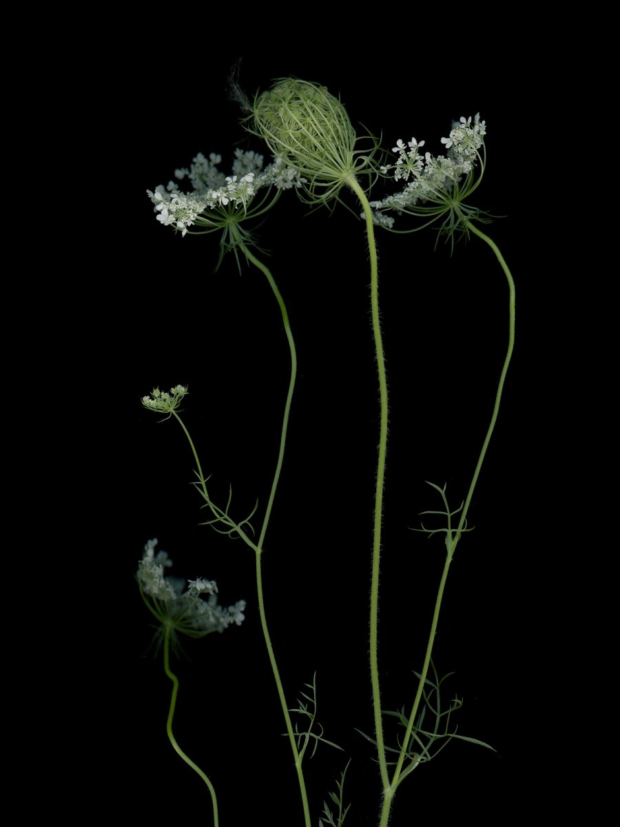 Detail, Thalkirchen, Germany, 09/2025