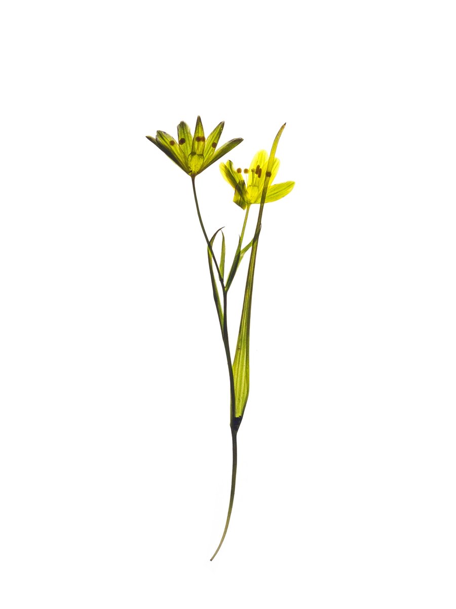 Alozaina, Spain, 03/2022