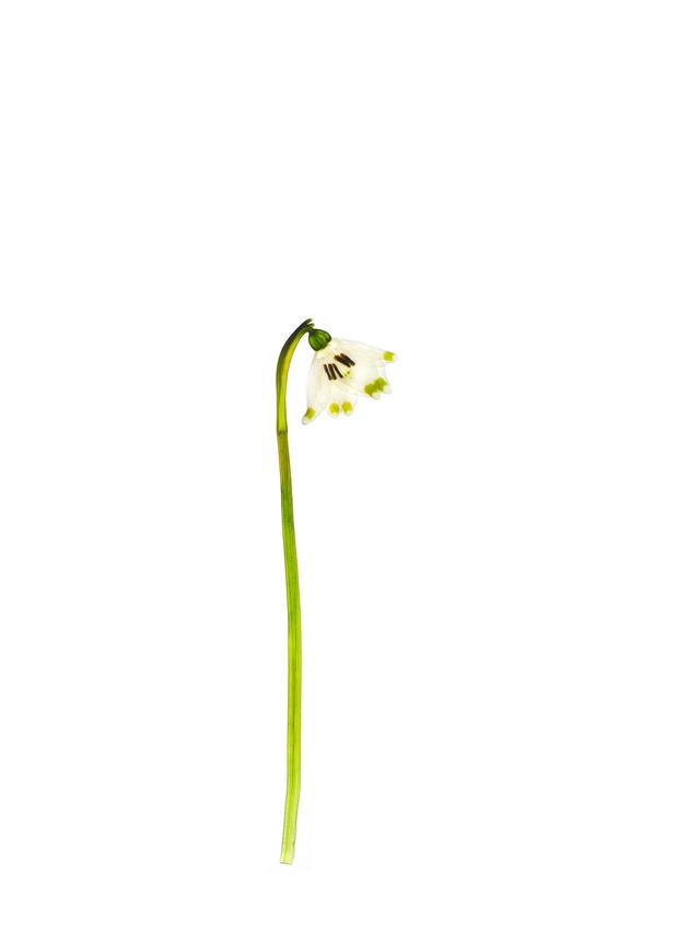 Pliezhausen (private property), Germany, 03/2020