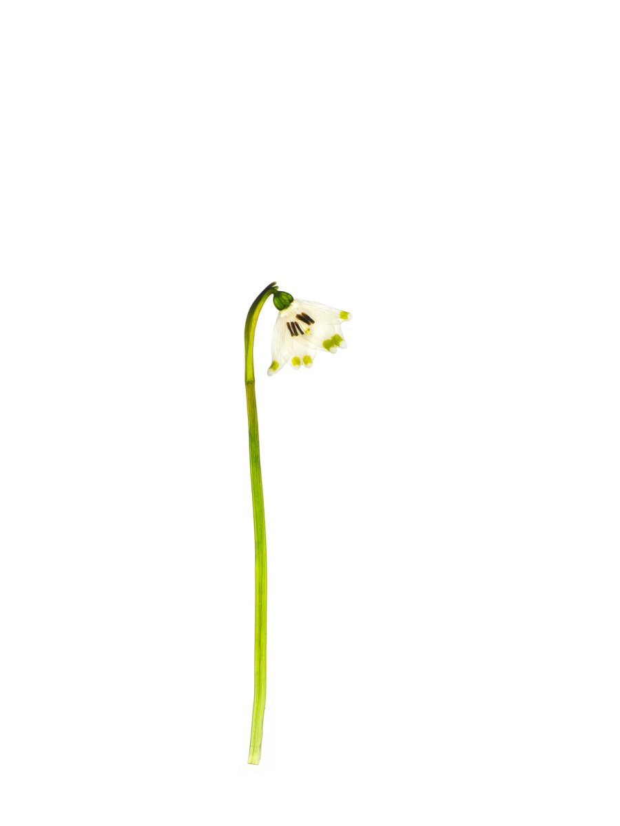 Pliezhausen (private property), Germany, 03/2020