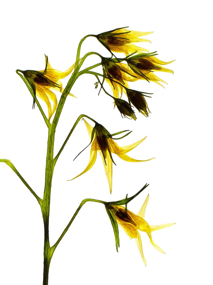 Stuttgart, Germany, 07/2022