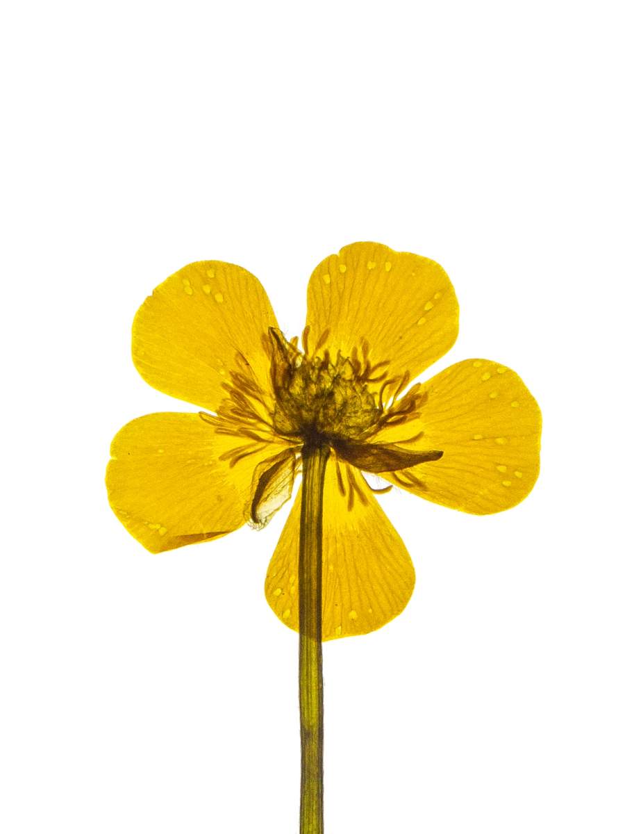 Detail, Munich, Germany, 05/2024