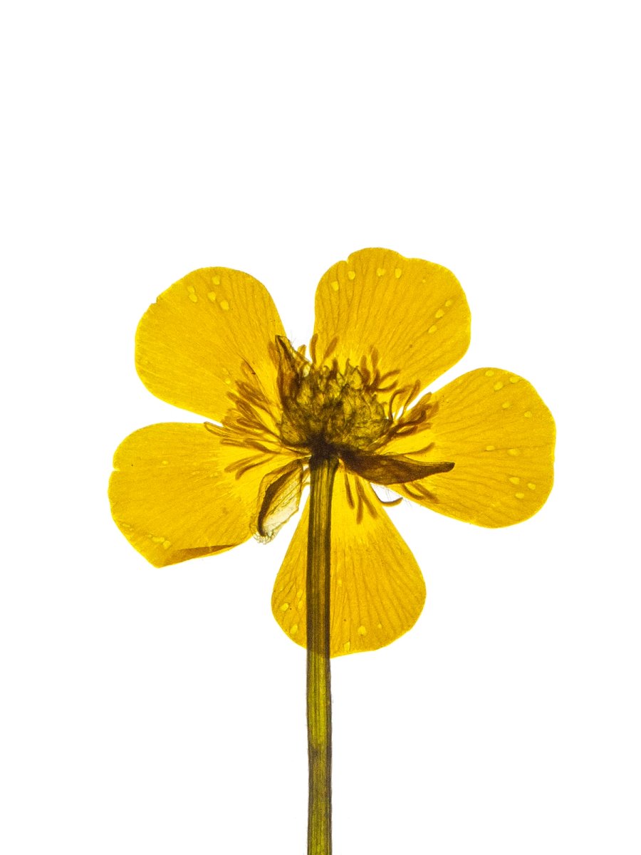 Detail, Munich, Germany, 05/2024