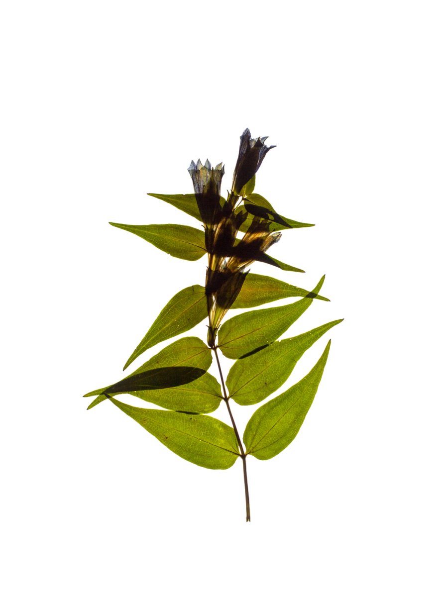 Petrovo Brdo, Slovenia, 09/2022