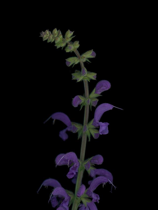 Thalkirchen, Germany, 09/2025