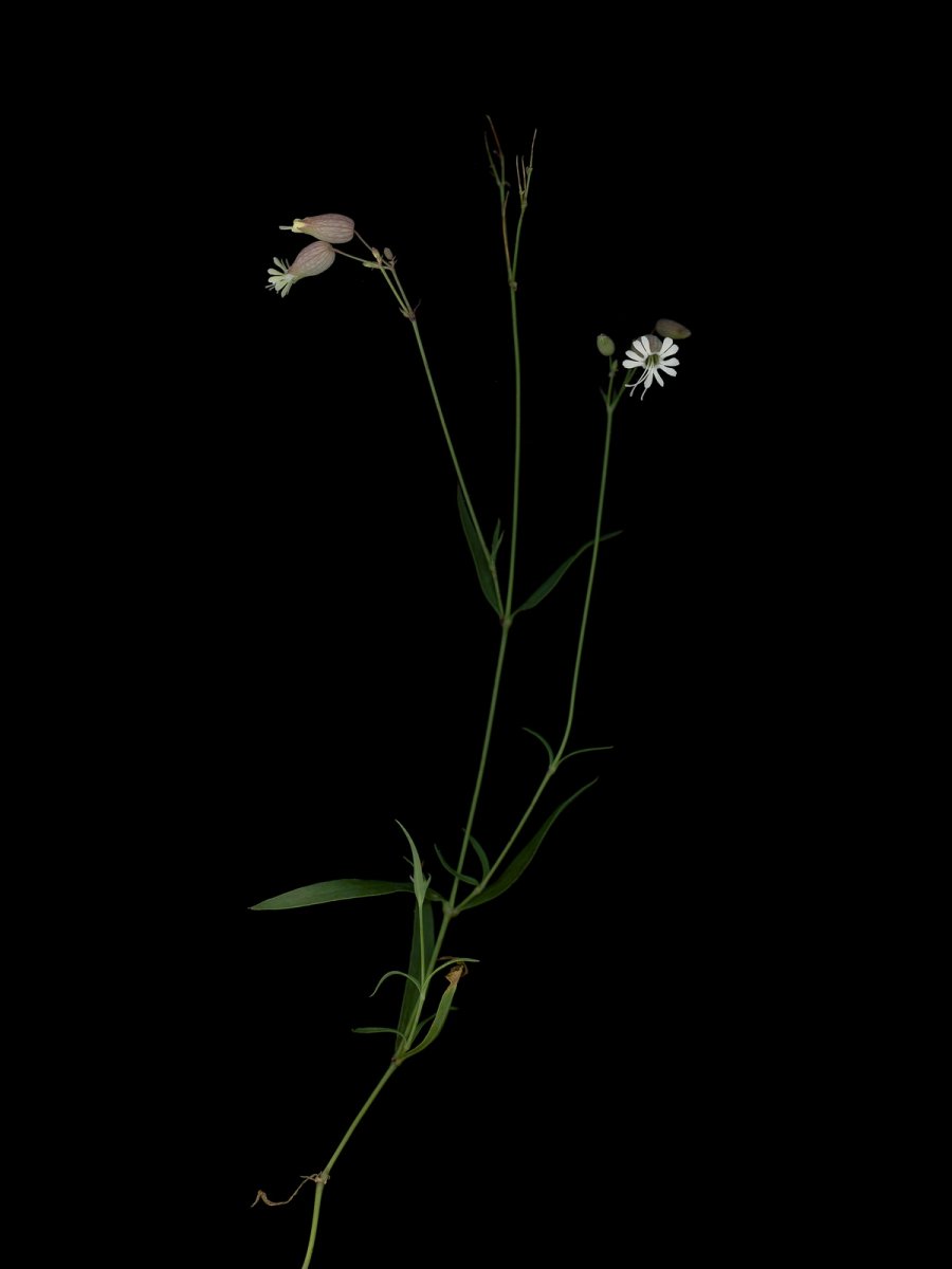 Thalkirchen, Germany, 09/2025