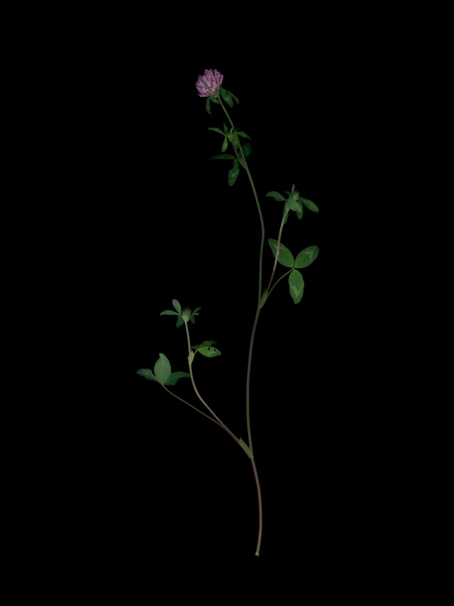 Thalkirchen, Germany, 09/2025