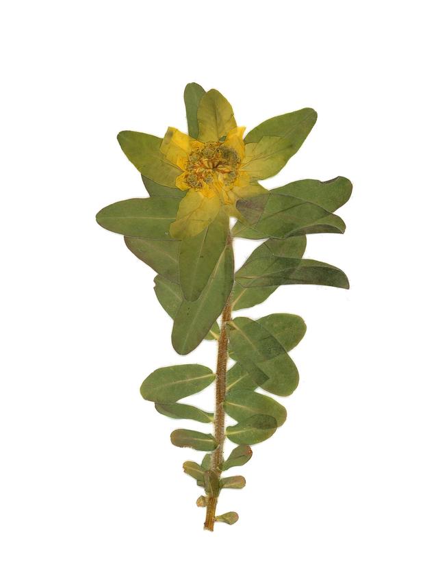 Stuttgart, Germany, 04/2022