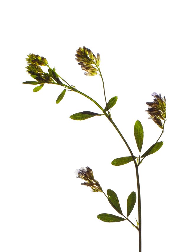 Stuttgart, Germany, 07/2022