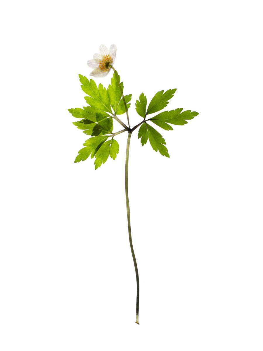 Pliezhausen, Germany, 03/2020