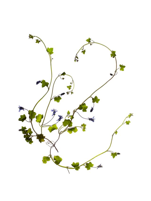 Stuttgart, Germany, 04/2021