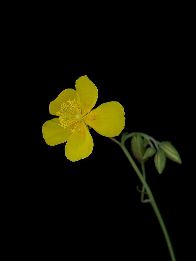 Thalkirchen, Germany, 09/2025