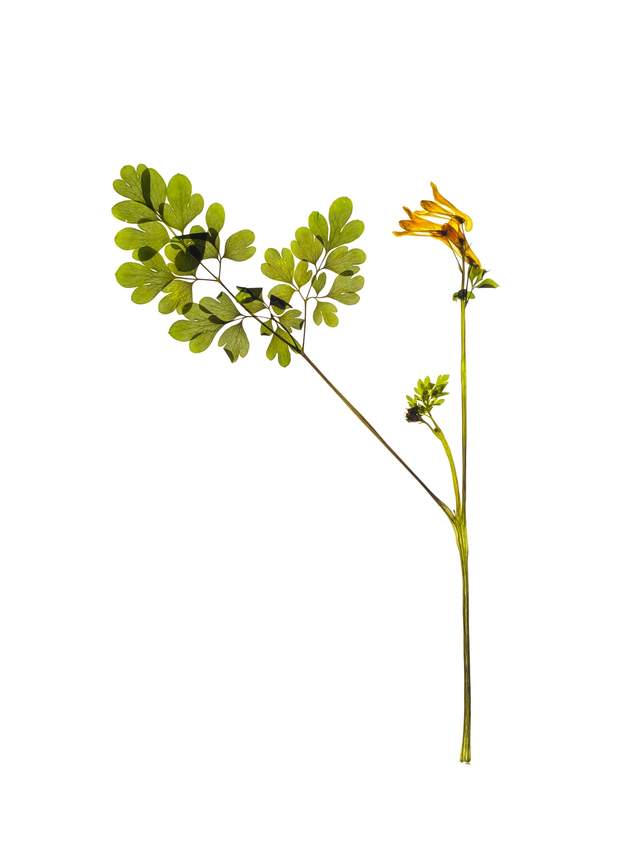 Stuttgart, Germany, 04/2022