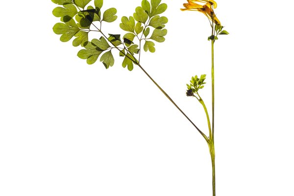 Stuttgart, Germany, 04/2022