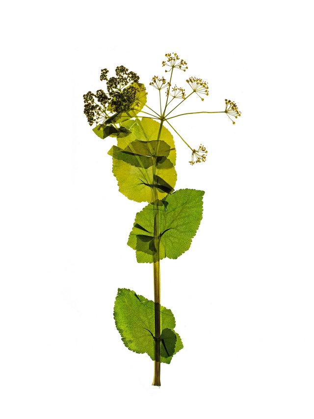 Prague, Czech Republic, 06/2018