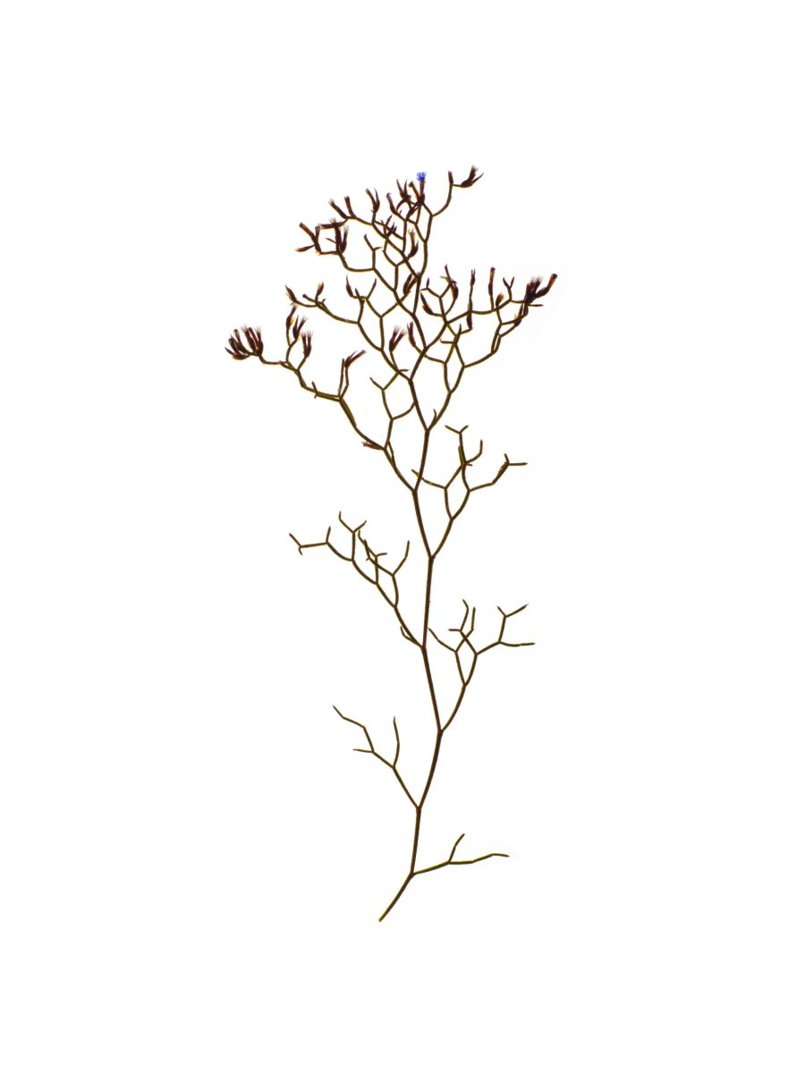 Corsica, France, 09/2023