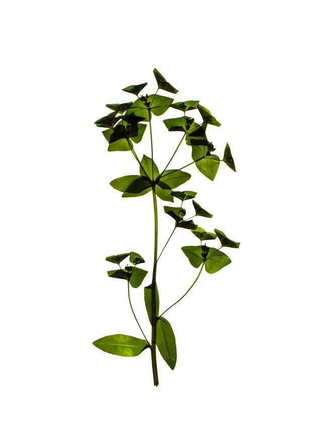 Zürich, Switzerland, 05/2021