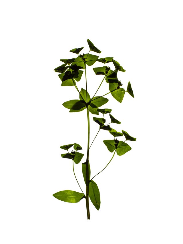 Zürich, Switzerland, 05/2021