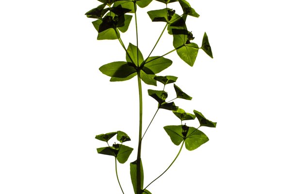 Zürich, Switzerland, 05/2021