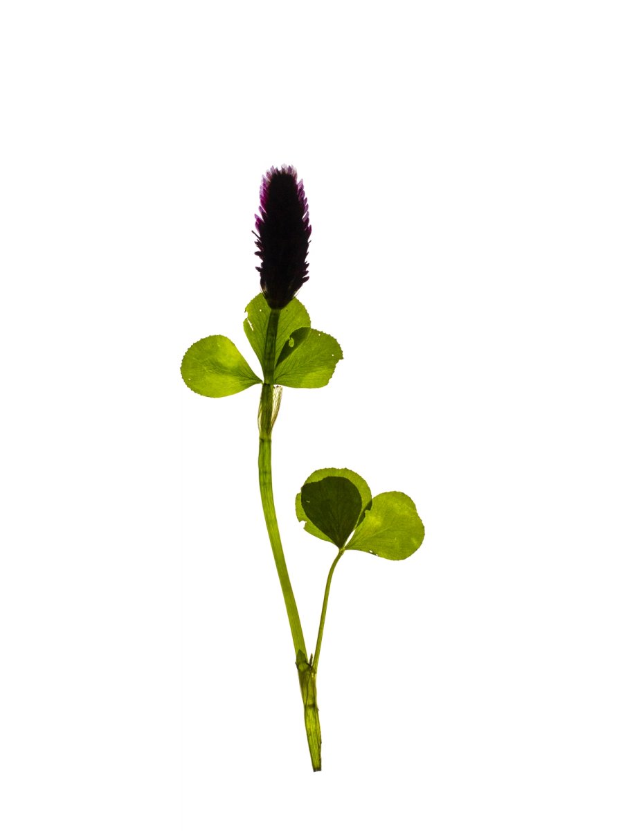 Bruchsal, Germany, 05/2021