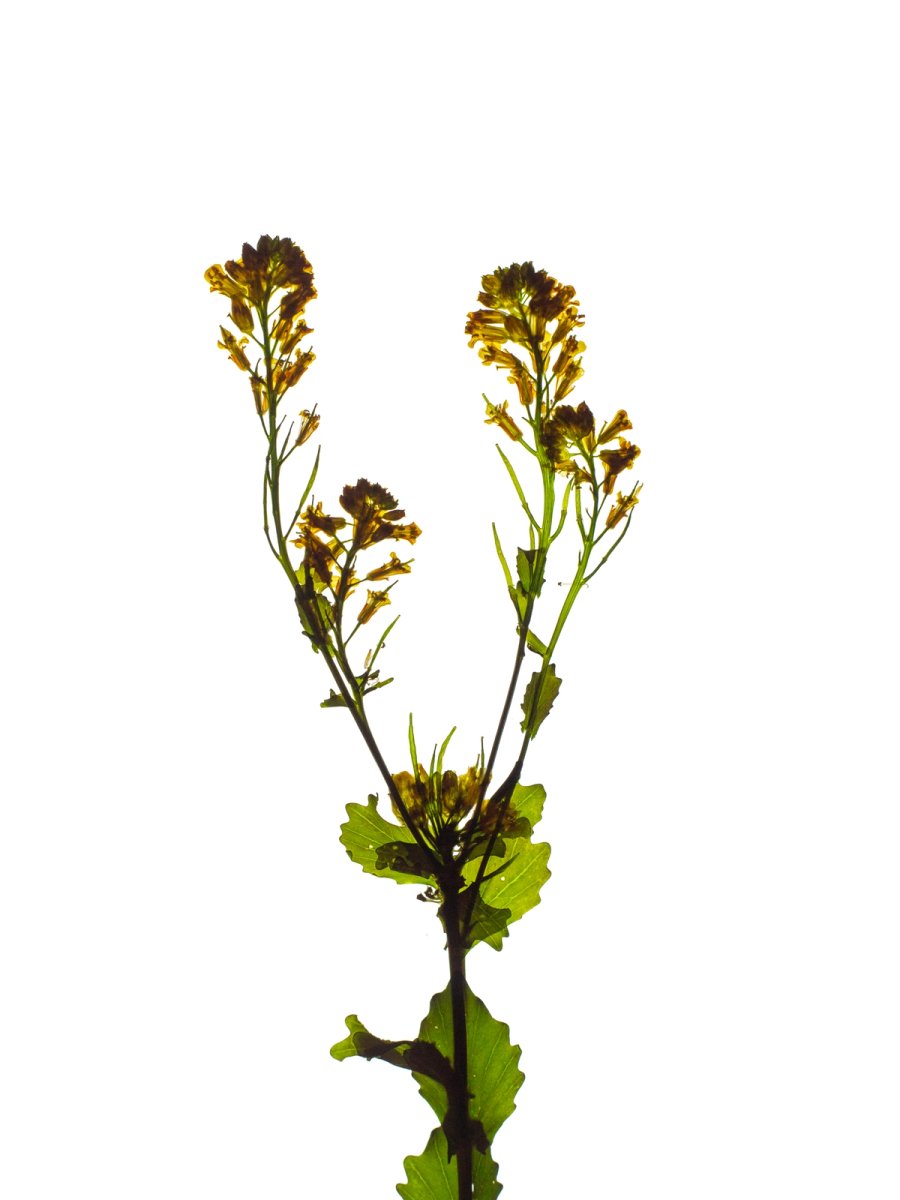 Detail, Thalkirchen, Germany, 05/2024