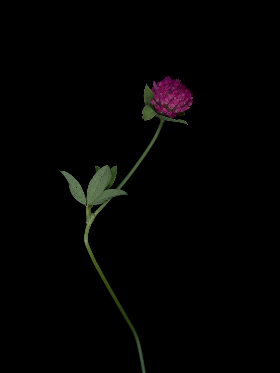 Thalkirchen, Germany, 10/2025