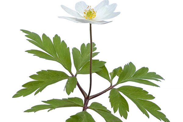 Pfullingen, Germany, 04/2026